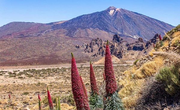 Wycieczki po Teneryfie po polsku