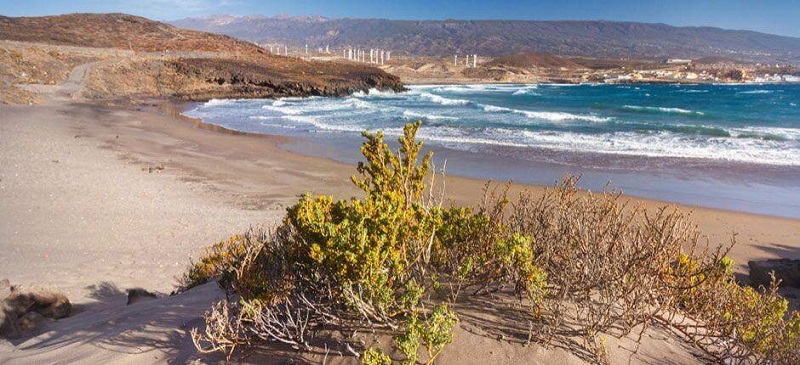 Playa Grande Beach w Arico - Wycieczki po Teneryfie po polsku