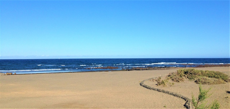 Playa del Cabezo w El Medano - Wycieczki po Teneryfie po polsku