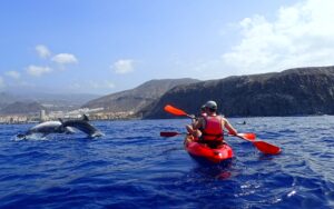 kajaki i snorkeling Teneryfa 5 Kajaki Teneryfa