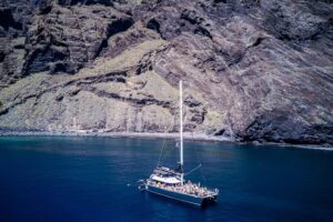 Rejs z delfinami Los Gigantes 4,5 godziny 3 Rejs z delfinami Los Gigantes