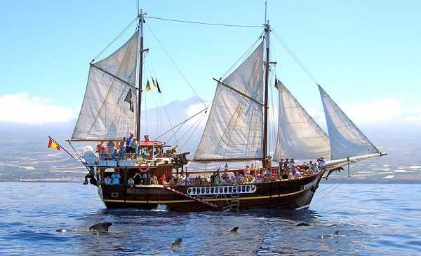 Rejs z delfinami z Los Gigantes z Flipper Uno m - Wycieczki po Teneryfie po polsku