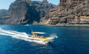 rejs na delfiny z los gigantes