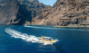 rejs na delfiny z los gigantes