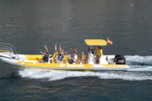 rejs na delfiny z los gigantes