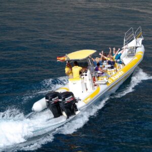 rejs na delfiny z los gigantes
