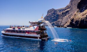 Katamaran Teneryfa Royal Delfin 2 godziny 6 rejs klify los gigantes