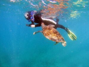 kajaki i snorkeling Teneryfa 24 Kajaki i snorkeling Teneryfa
