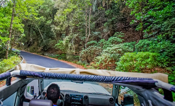 Wycieczki po Polsku Jeep safari La Gomera - Wycieczki po Teneryfie po polsku