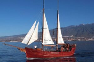 Rejs z delfinami Teneryfa rejs na Peter Pan 13 Rejs z delfinami Teneryfa