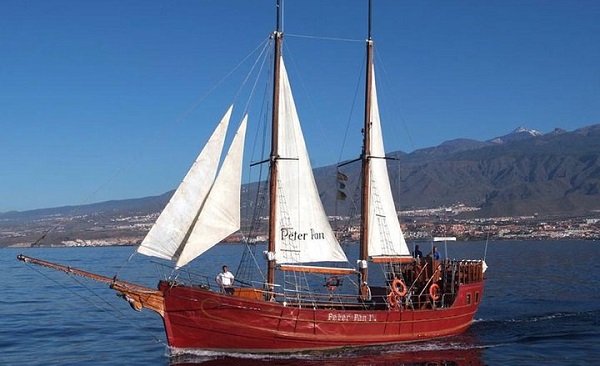 Rejs z delfinami na Teneryfie. Peter Pan m - Wycieczki po Teneryfie po polsku