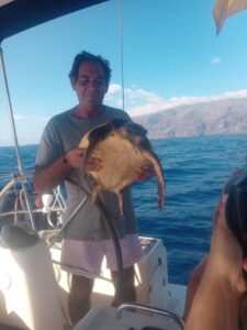 Rejs z delfinami z Los Gigantes