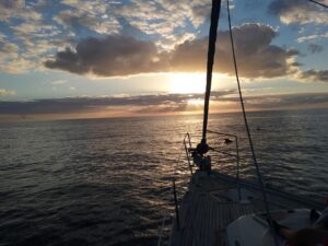 Rejs z delfinami z Los Gigantes