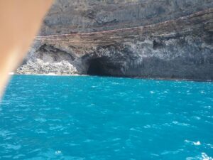 Rejs z delfinami z Los Gigantes