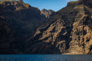 Rejs z delfinami z Los Gigantes